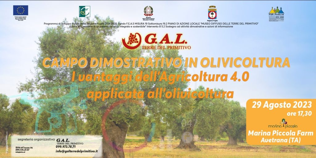 Campo dimostrativo in olivicoltura 29 Agosto