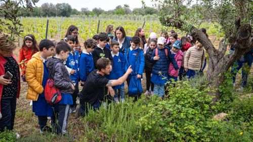 MARUGGIO - Azienda Agricola Matrinodda di Mario Favale - Istituto Comprensivo Del Bene